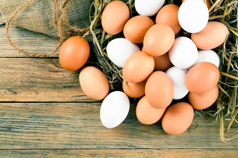 20 receitas fáceis e rápidas para um café da manhã SAUDÁVEL