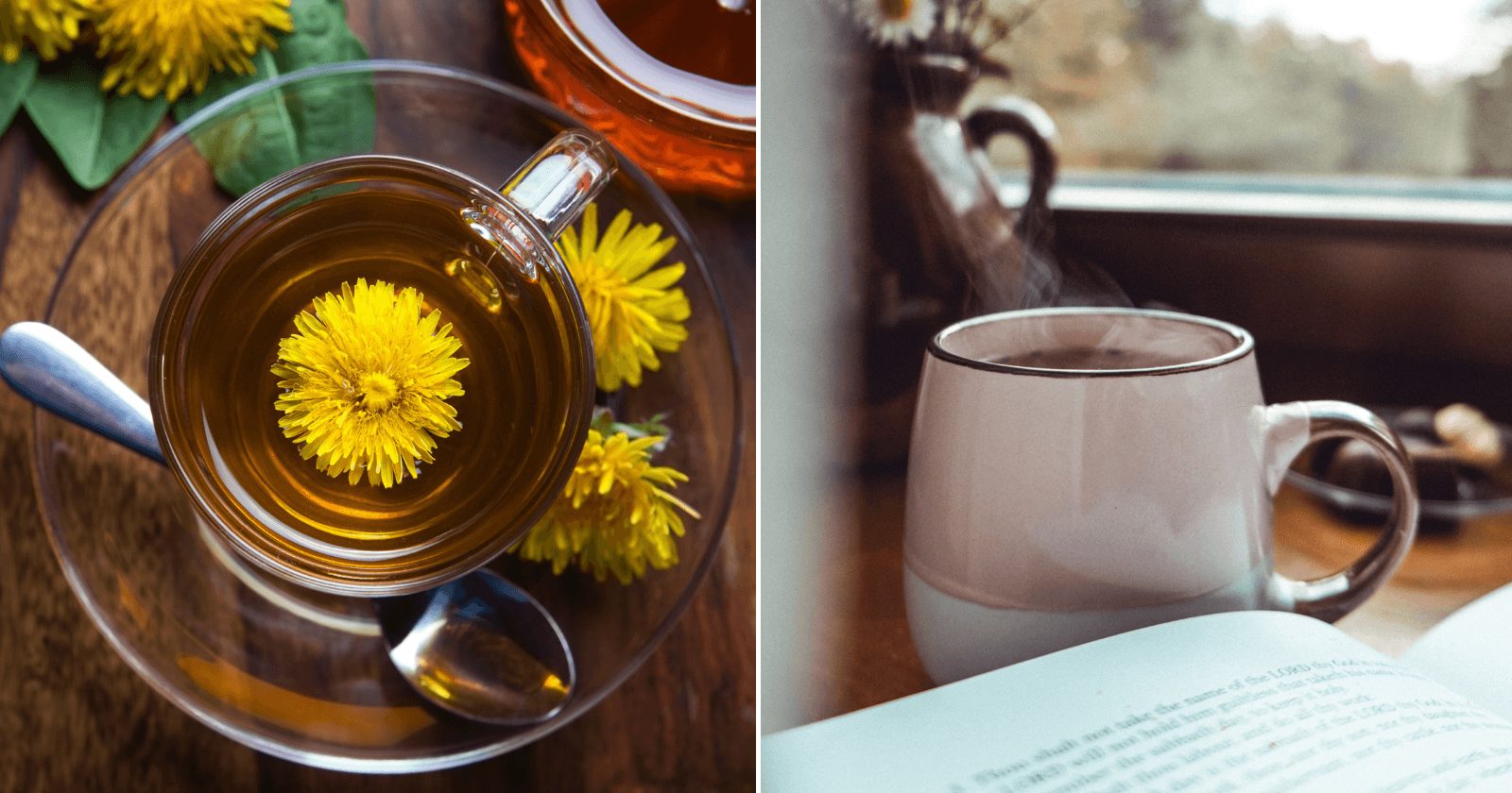 Chá de dente-de-leão: benefícios para transformar sua rotina e saúde