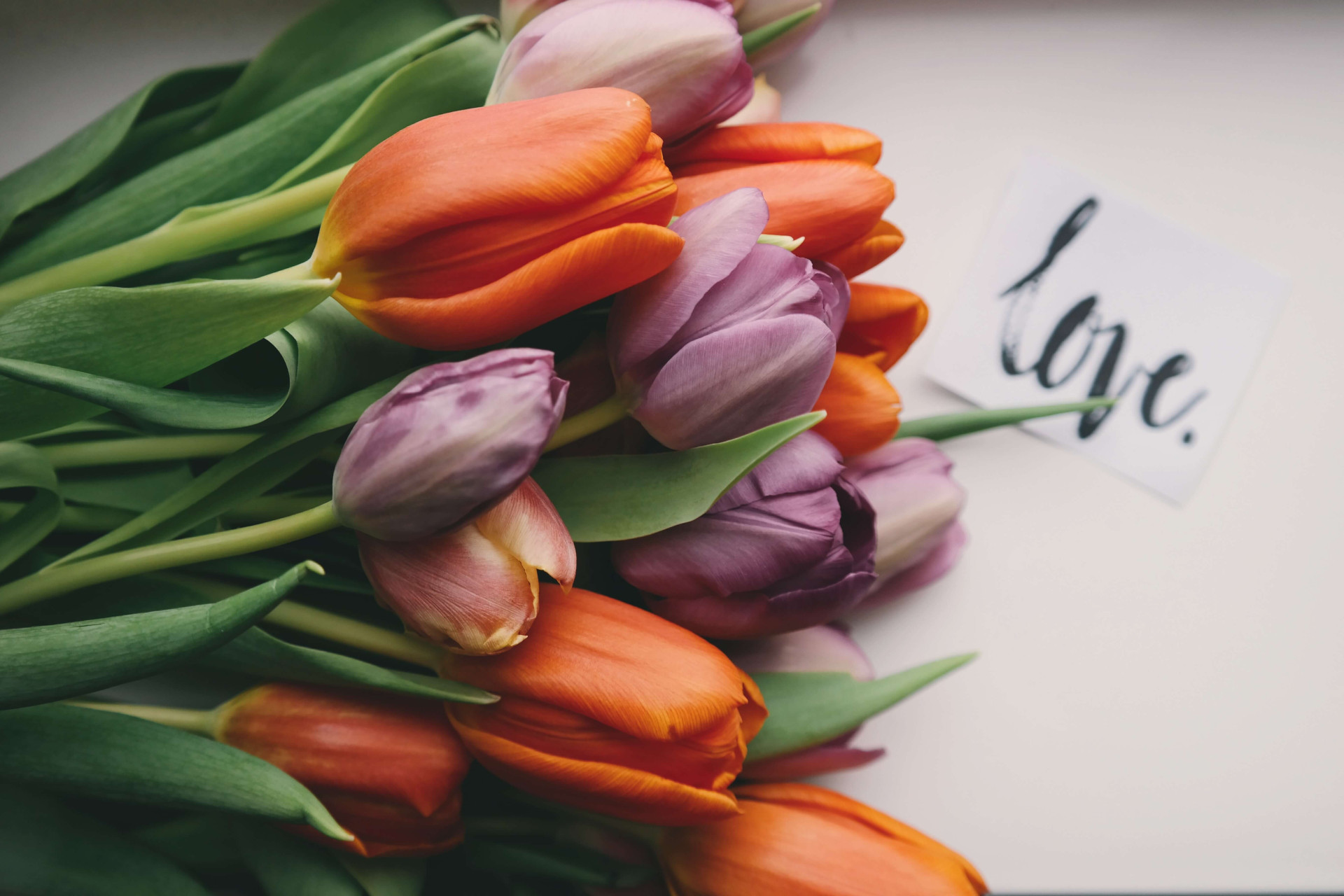Poemas de amor de Emily Dickinson