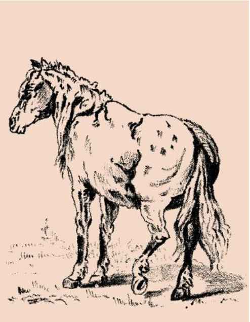Ilustração antiga, de um cavalo sobre fundo amarelado. O Enigma do cavalo que testar suas habilidades.