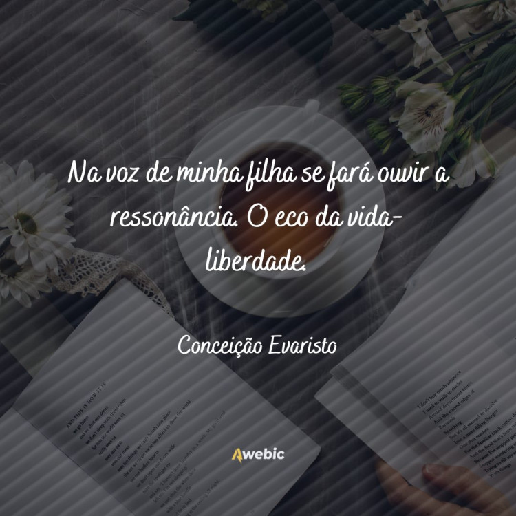 Literatura brasileira: 20 trechos de livros que marcaram a história