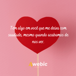 100 frases que os homens não resistem: para você não errar jamais