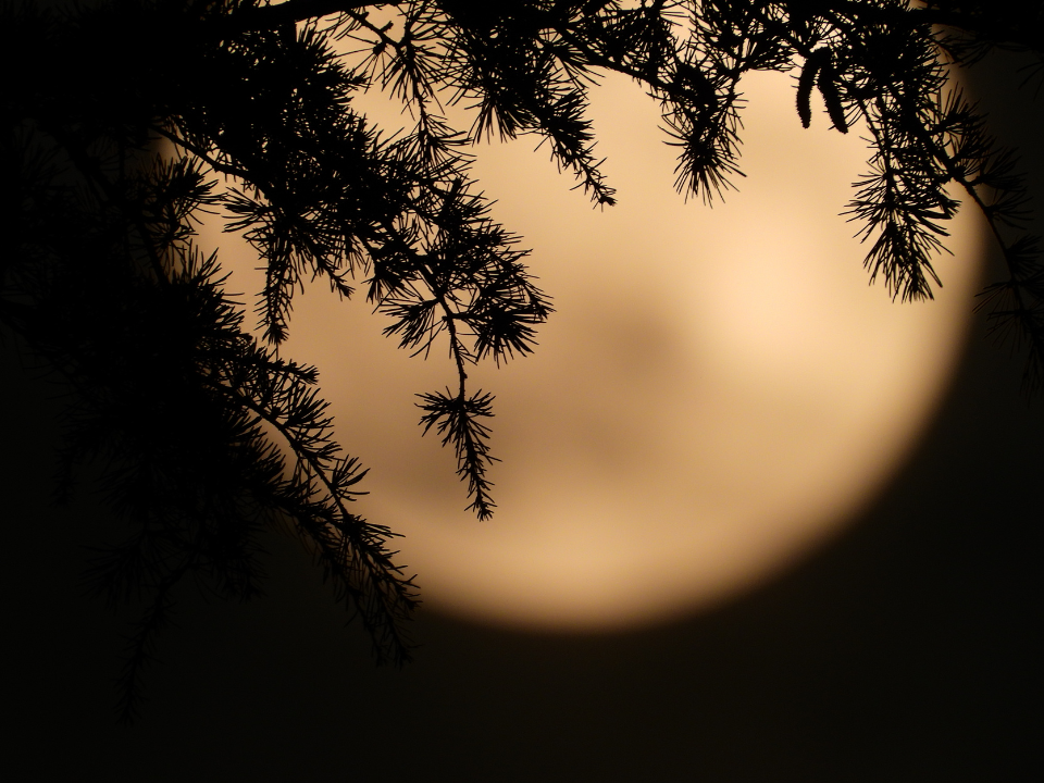 fase-da-lua-como-olhar