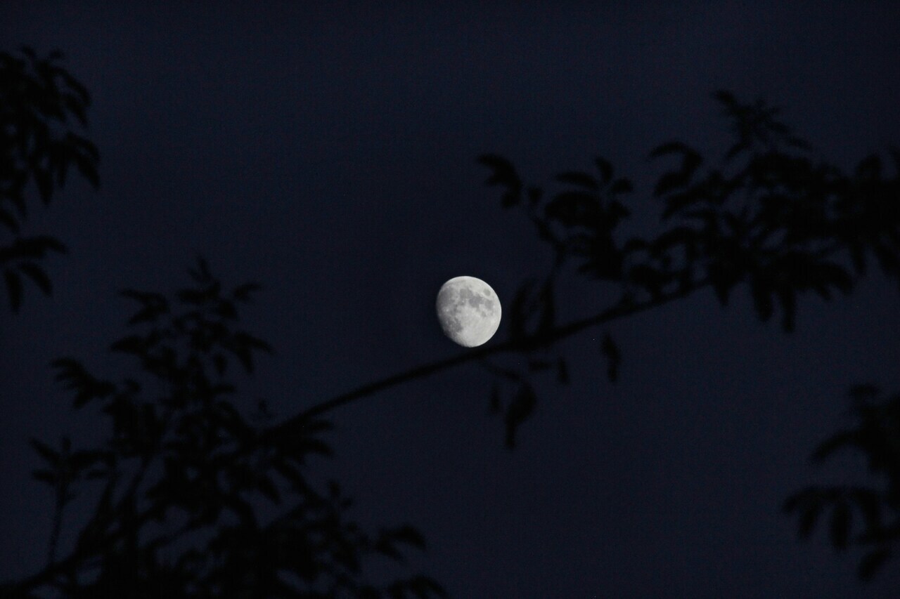 lua vai aparecer hoje