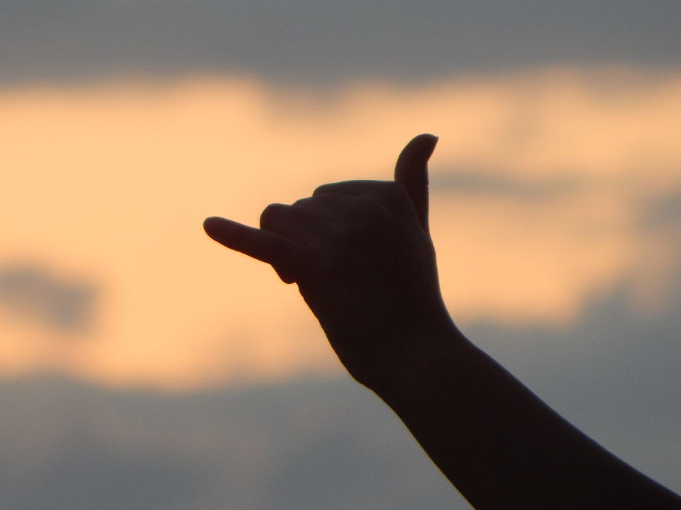 fazer Hang Loose significa o que