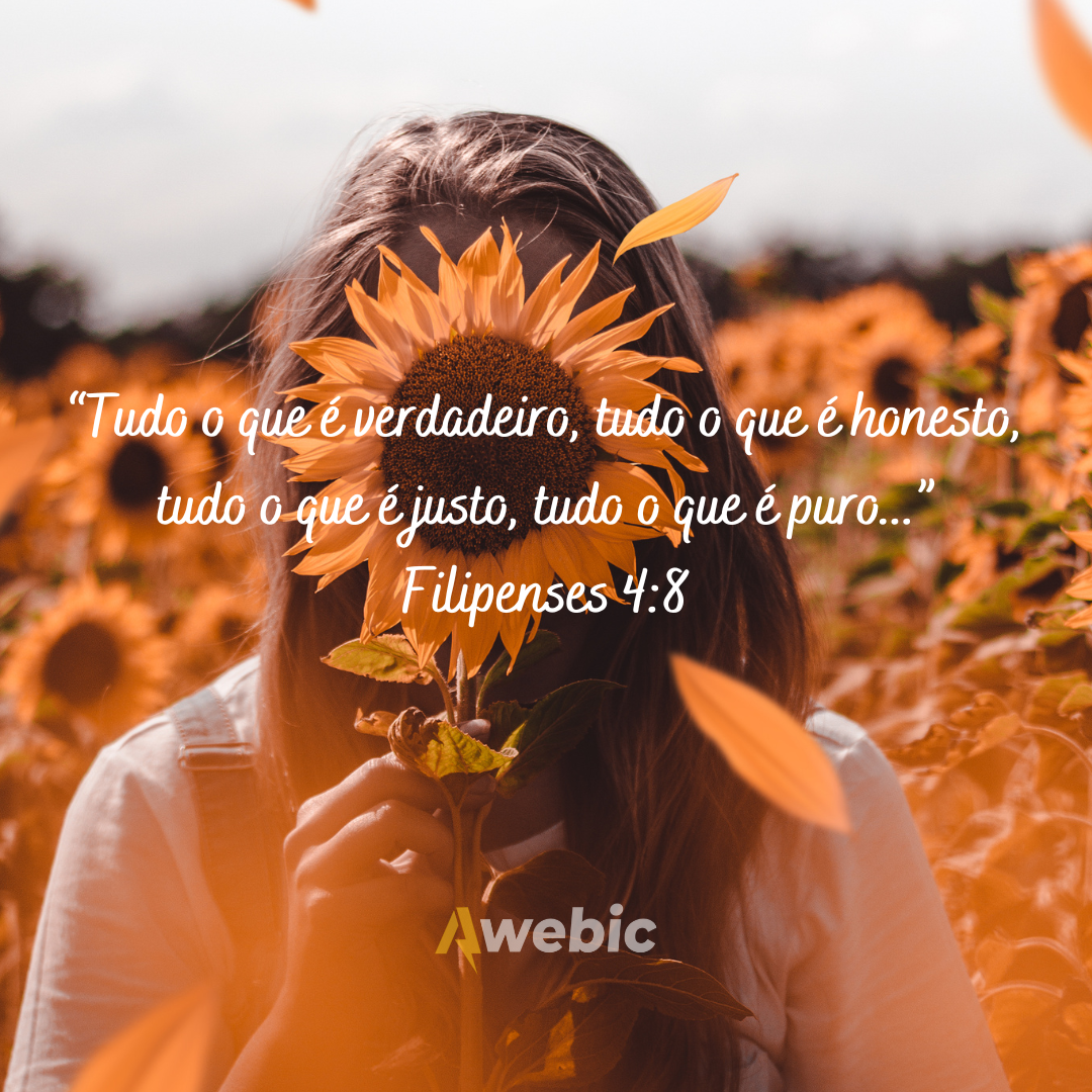 melhores versículos sobre feminilidade 