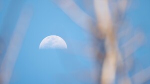 Ciclo da Lua hoje, 16/06/2025: marés mais suaves e observação do céu