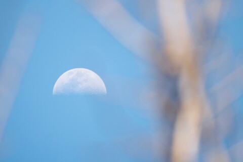 Ciclo da Lua hoje, 16/06/2025: marés mais suaves e observação do céu