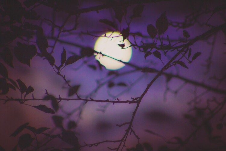 Fase da Lua de hoje, 09/06/2025. O que observar no céu e aproveitar ela ...