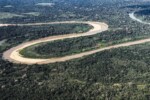 Holanda anuncia até R$ 2,5 bilhões para florestas tropicais um dia após reeleição de Lula