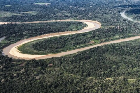 Holanda anuncia até R$ 2,5 bilhões para florestas tropicais um dia após reeleição de Lula