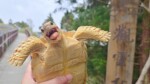 Pongpong ganha o título de tartaruga mais feliz do mundo em Taiwan, atrai olhares com sorriso simpático e faz sucesso com passeios