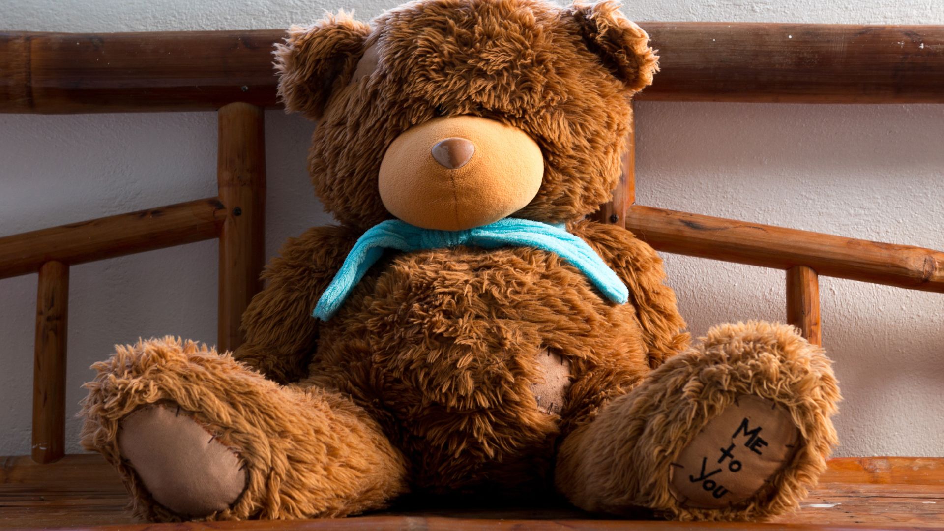 Teddy’s bear